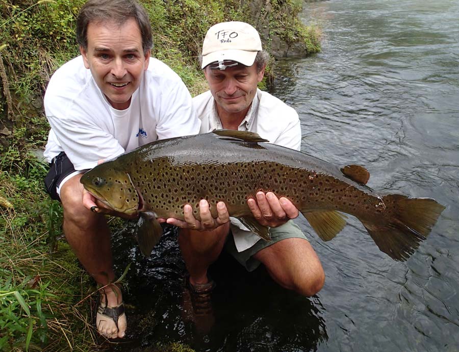 Another trophy brown trout, April 2015